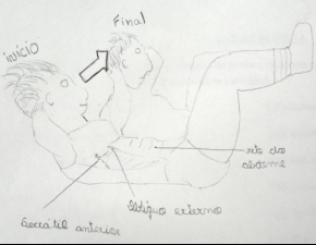 Avaliação Ed. Física