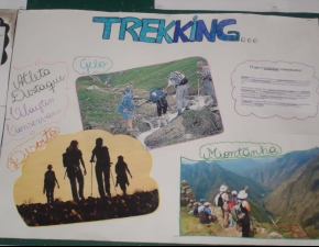 Estudo dos Esportes Radicais em Educação Física