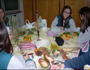 ATIVIDADE PRÁTICA – OBSERVAÇÃO DE PLANTAS ANGIOSPERMAS