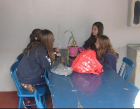 PLANTANDO A DEFESA CONTRA O MOSQUITO AEDES AEGYPTI