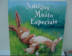 Amigos Muito Especiais