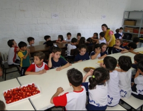 Tarde da fruta no palito na educação infantil!