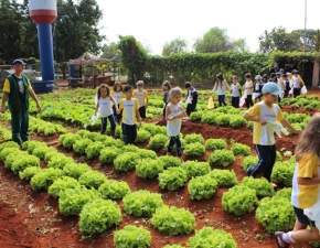 Atividade Ecológica 2015